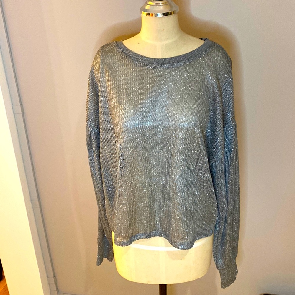 Zara Size L Silver Mesh Metallic Sweater with Gathered Puff Sleeves Crew Neck